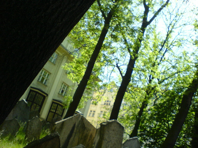DSC01280.JPG